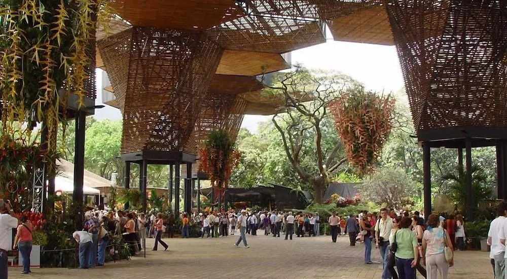 Hotel Palmas Del Estadio