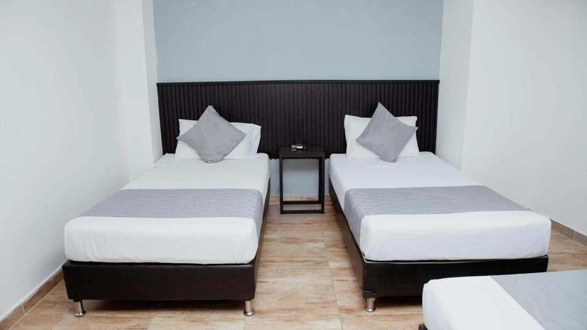 Hotel Palmas Del Estadio