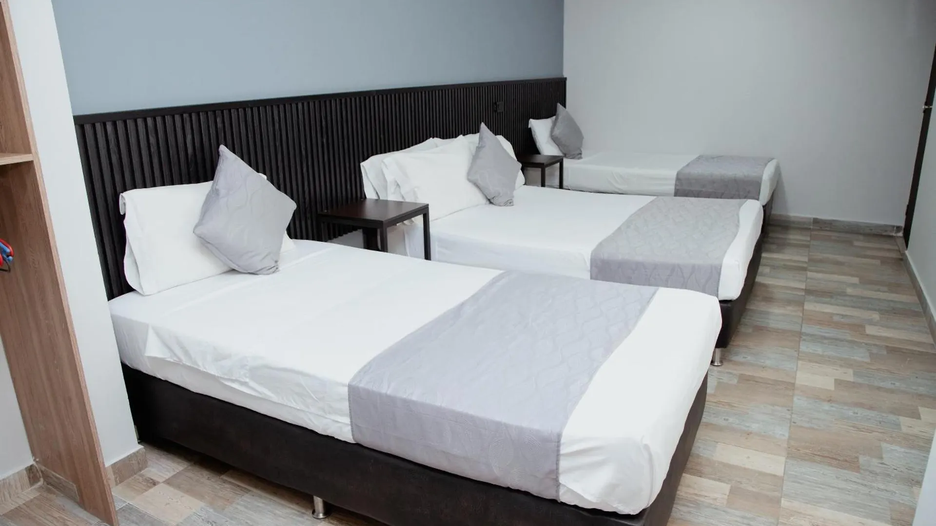 Hotel Palmas Del Estadio