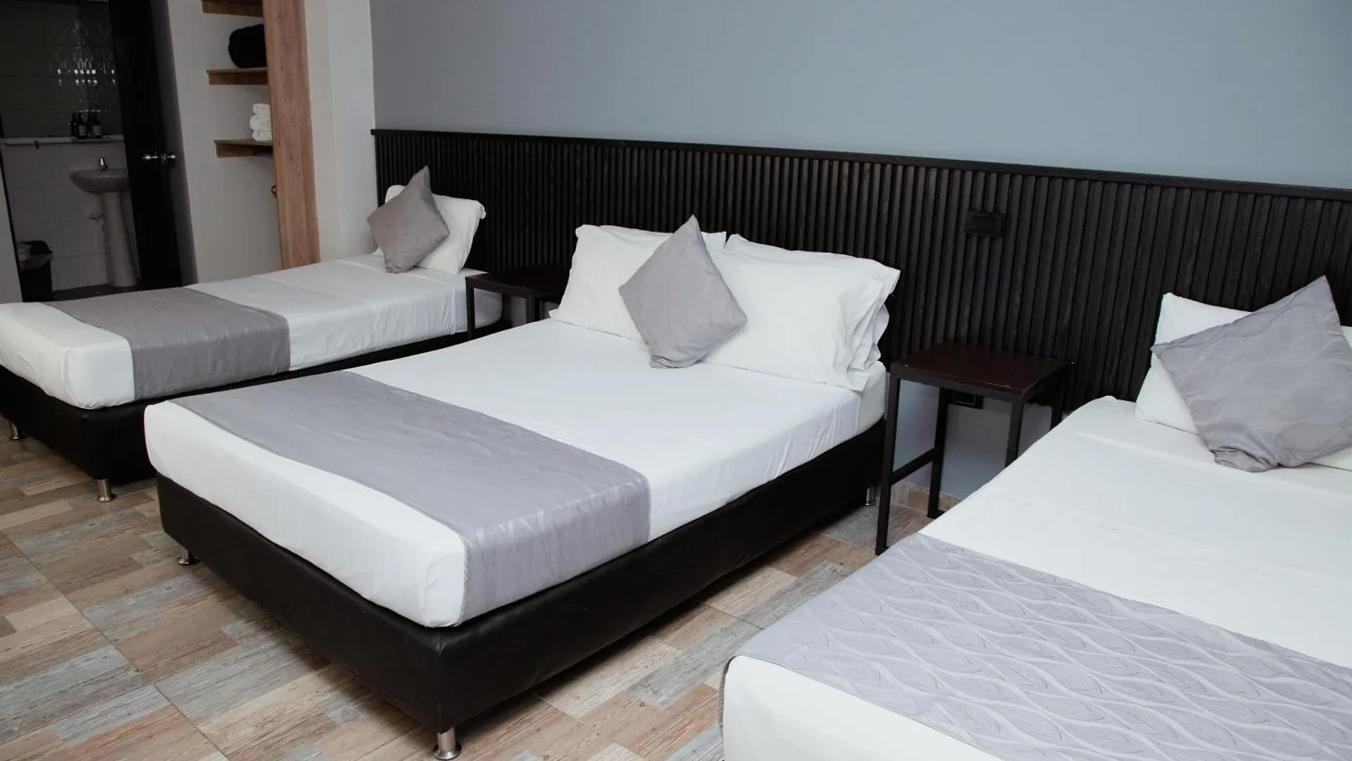 Hotel Palmas Del Estadio