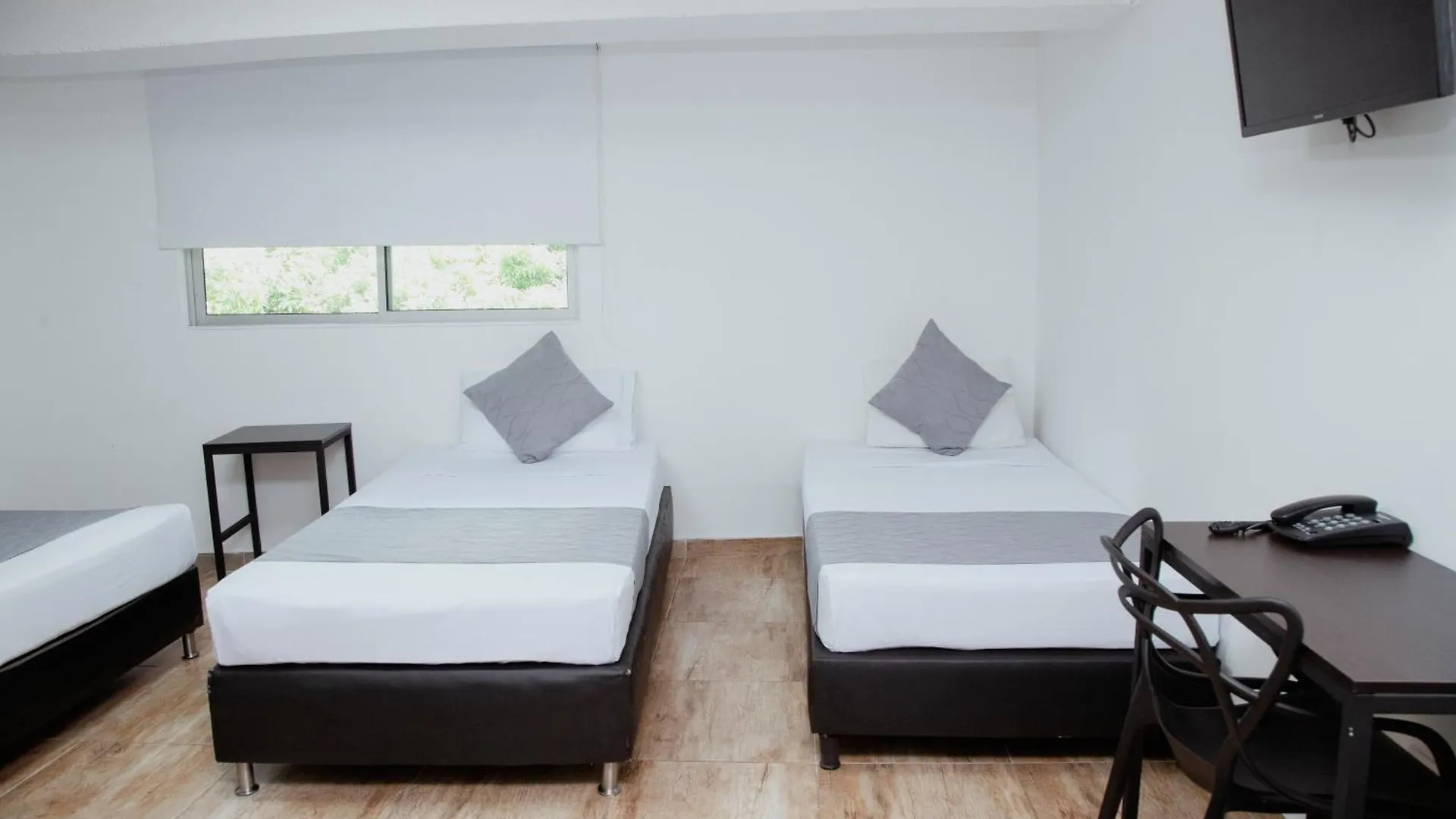 Hotel Palmas Del Estadio