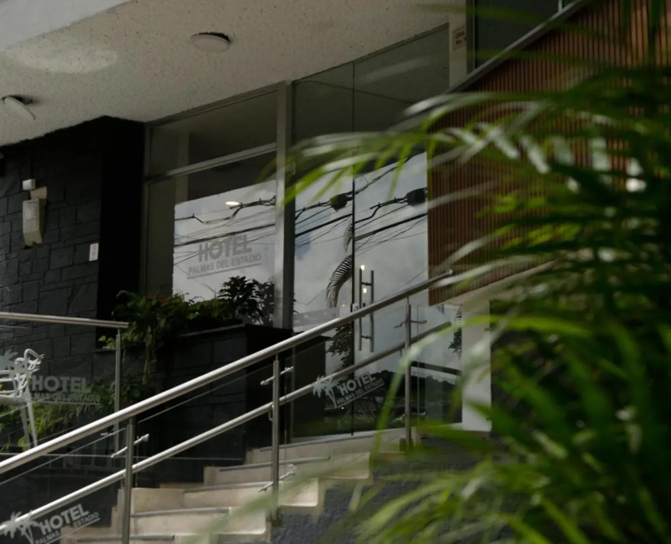 Hotel Palmas Del Estadio