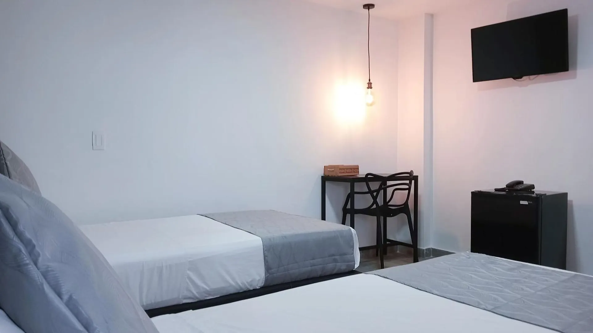 Hotel Palmas Del Estadio